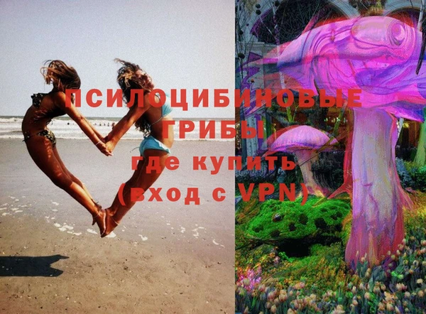 таблы Алексеевка