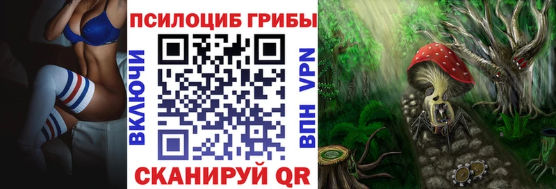 Галлюциногенные грибы Cubensis  Котово 